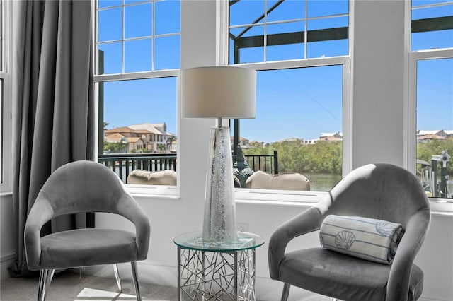 sitting room with carpet flooring