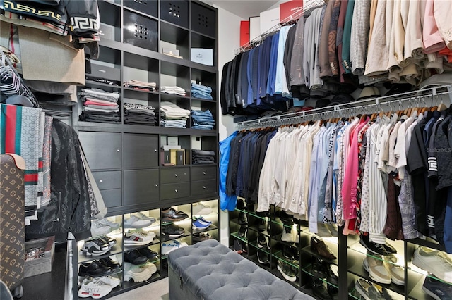 view of walk in closet