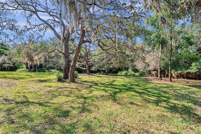 6514 Sunhigh Dr, New Port Richey, FL 34655 - view of yard