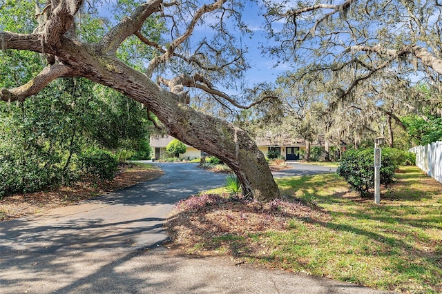 6514 Sunhigh Dr, New Port Richey, FL 34655 - view of asphalt driveway
