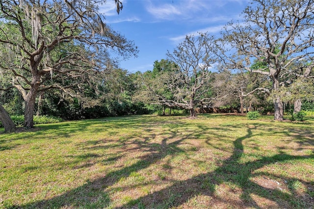 6514 Sunhigh Dr, New Port Richey, FL 34655 - view of green lawn