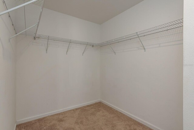 spacious closet with light carpet