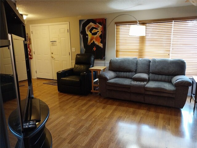 8313 Cavalry Dr, Hudson, FL 34667 - living room with light wood-type flooring