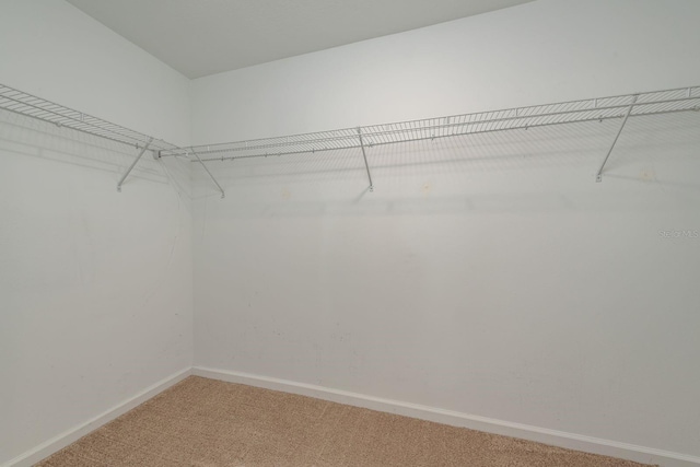 walk in closet featuring light colored carpet