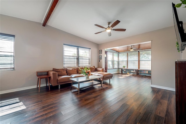 living area featuring a healthy amount of sunlight, vaulted ceiling with beams, a ceiling fan, and dark wood-style flooring