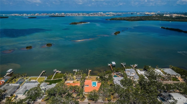 2834 Pelham Rd N, Saint Petersburg, FL 33710 - photo 60