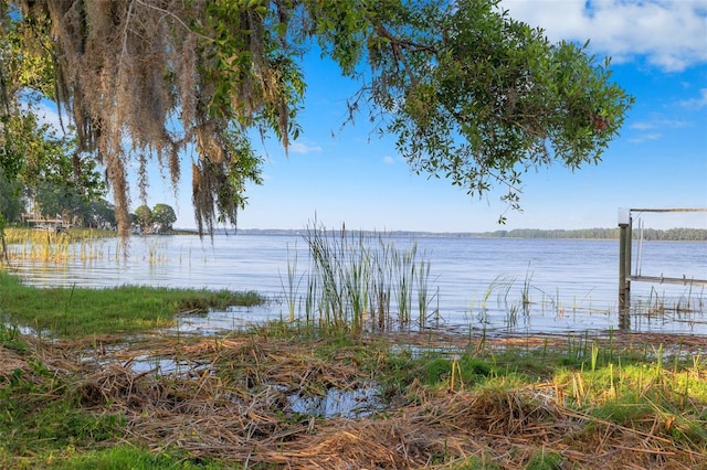 2661 Cyprus Dr, Palm Harbor, FL 34684
