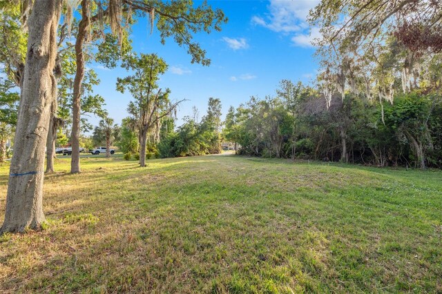 2661 Cyprus Dr, Palm Harbor, FL 34684