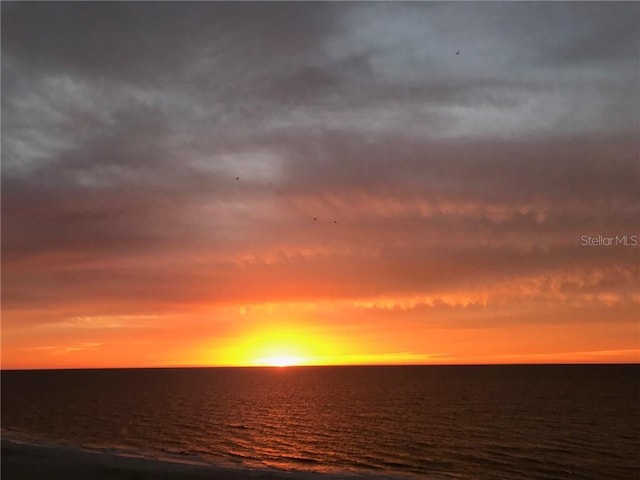 1390 Gulf Blvd Unit Ph-5, Clearwater, FL 33767 - water view