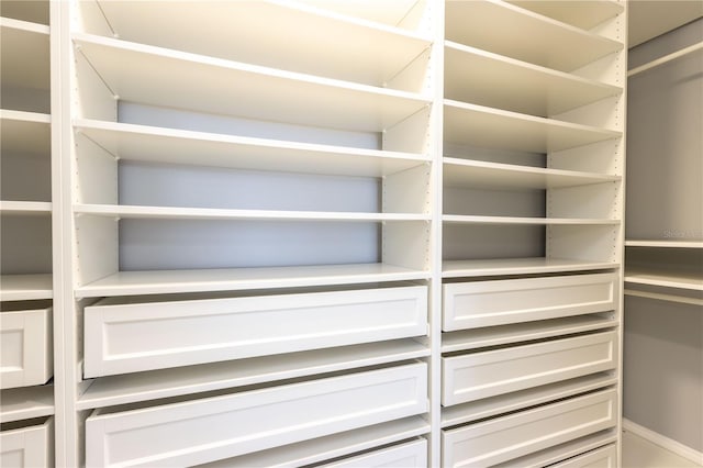 1390 Gulf Blvd Unit Ph-5, Clearwater, FL 33767 - view of spacious closet