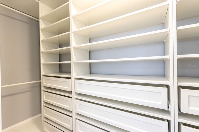 1390 Gulf Blvd Unit Ph-5, Clearwater, FL 33767 - view of walk in closet
