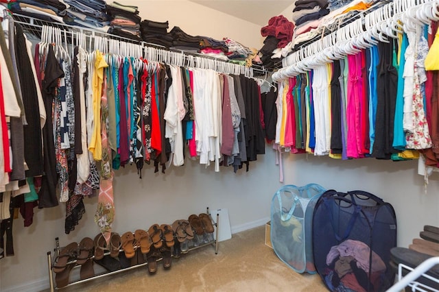 spacious closet featuring carpet floors