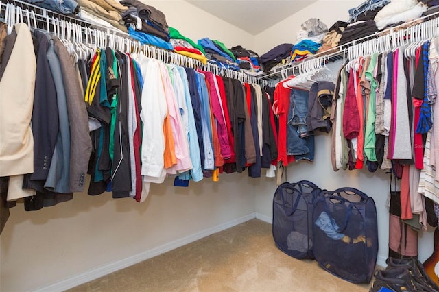spacious closet with carpet