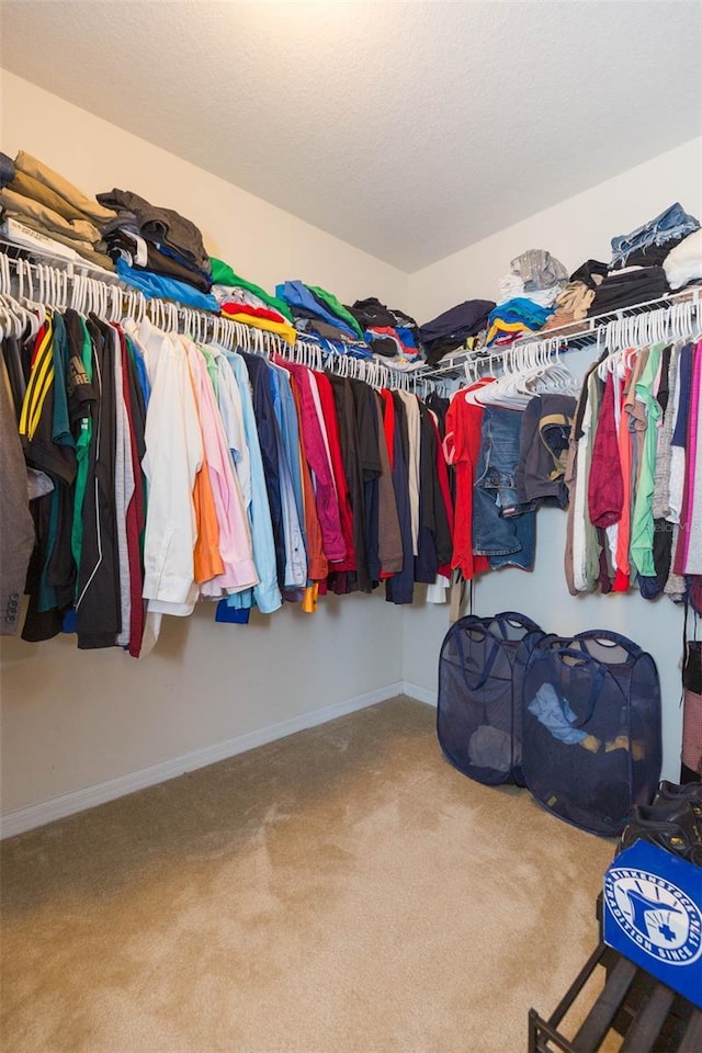 spacious closet with carpet
