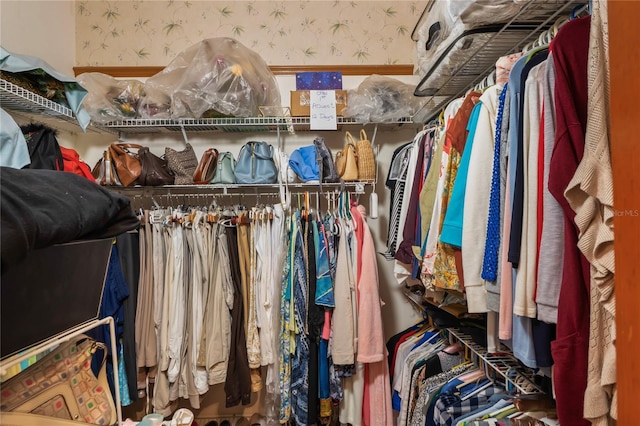 7353 Dogwood Cres, Spring Hill, FL 34607 - view of walk in closet