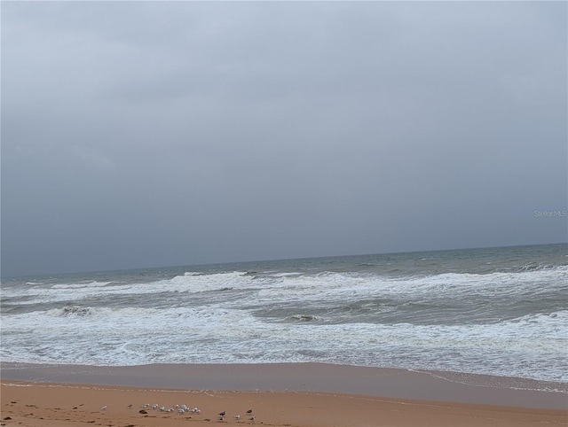 3100 Ocean Shore Blvd Unit 101, Ormond Beach, FL 32176 - water view featuring local beach