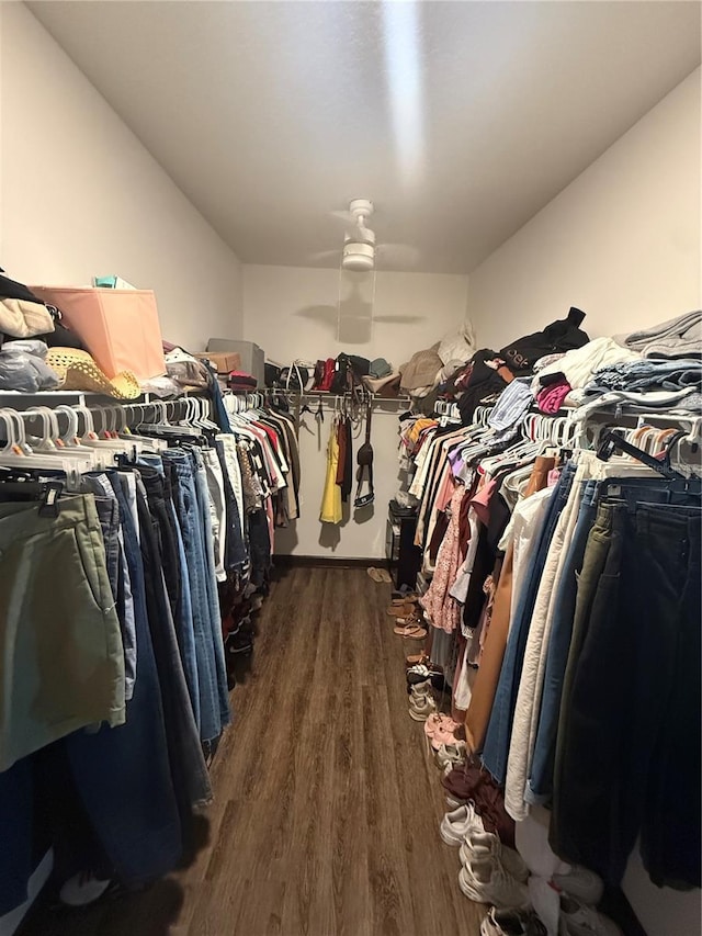walk in closet with dark wood-style flooring