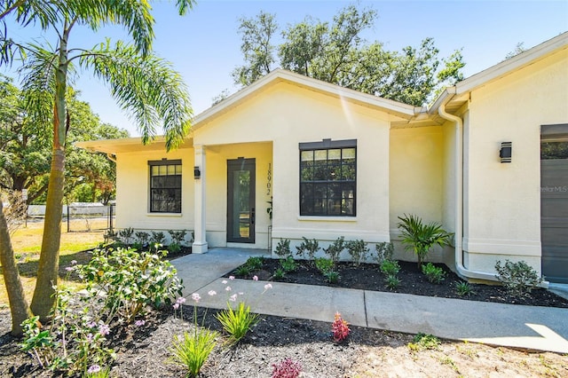 view of exterior entry with stucco siding and a porch