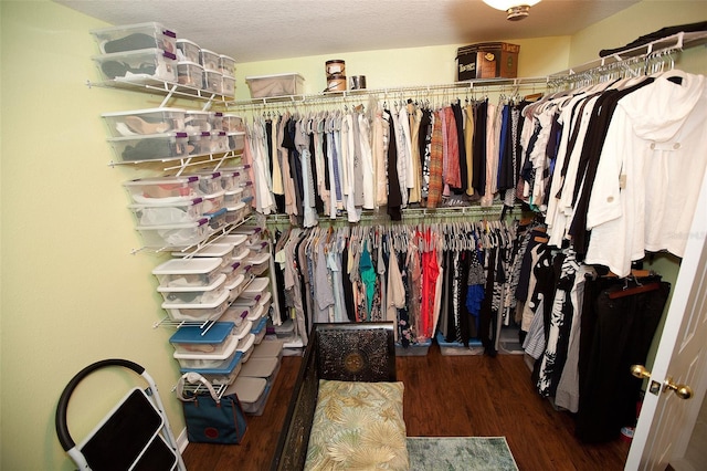 spacious closet featuring wood finished floors
