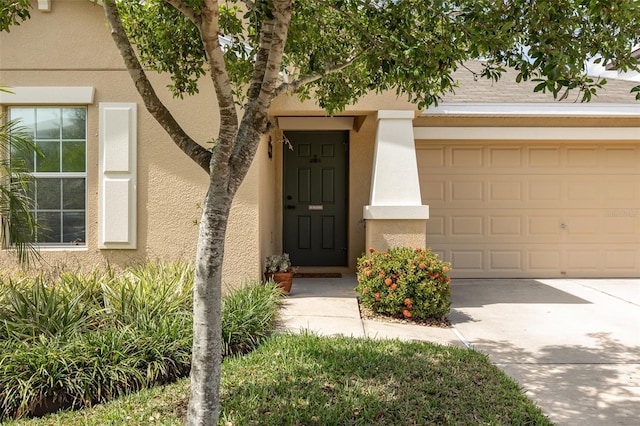 entrance to property with concrete driveway, stucco siding, and an attached garage