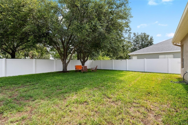 11845 Newberry Grove Loop, Riverview, FL 33579 - view of yard