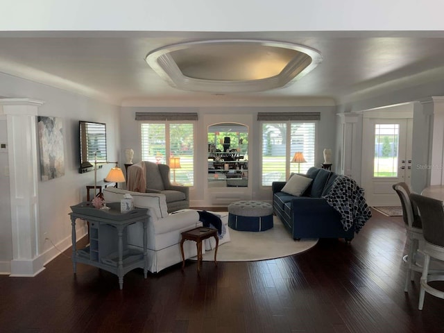 living area with a raised ceiling and dark wood-style floors