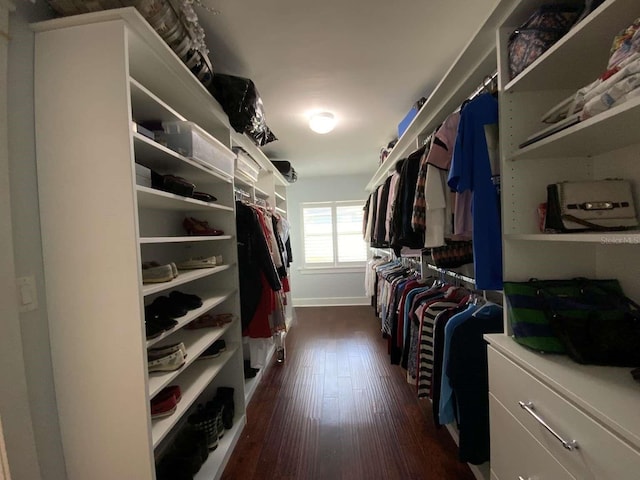 spacious closet with dark wood finished floors