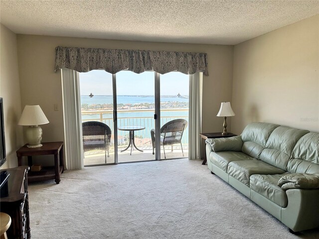 4900 Brittany Dr S Unit 1810, Saint Petersburg, FL 33715 - photo 12