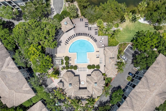 bird's eye view