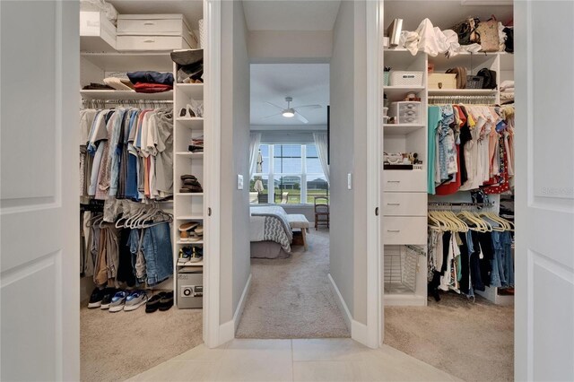 5828 Clairwood Ct, Palmetto, FL 34221 - walk in closet featuring carpet flooring and ceiling fan