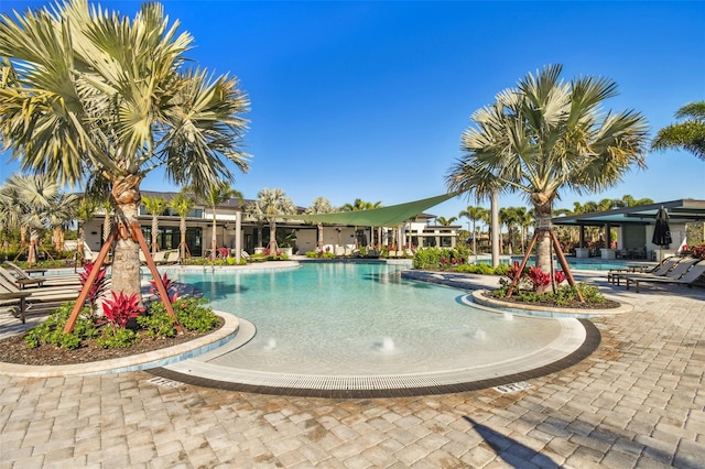 34084 Torrent Ln, Wesley Chapel, FL 33543 - community pool featuring a patio