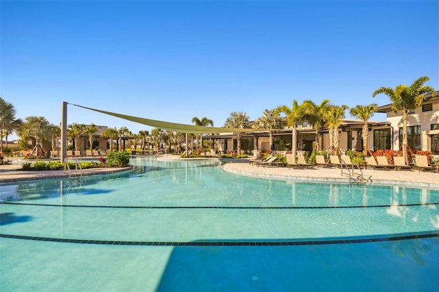 34084 Torrent Ln, Wesley Chapel, FL 33543 - view of community pool