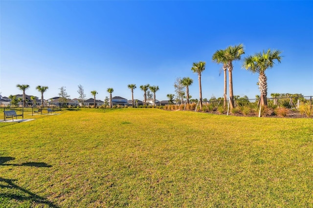 34084 Torrent Ln, Wesley Chapel, FL 33543 - view of yard with a residential view