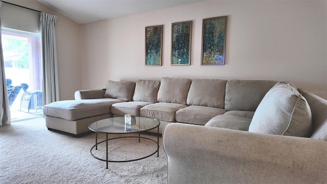 13653 Artesa Bell Dr, Riverview, FL 33579 - living area with carpet flooring