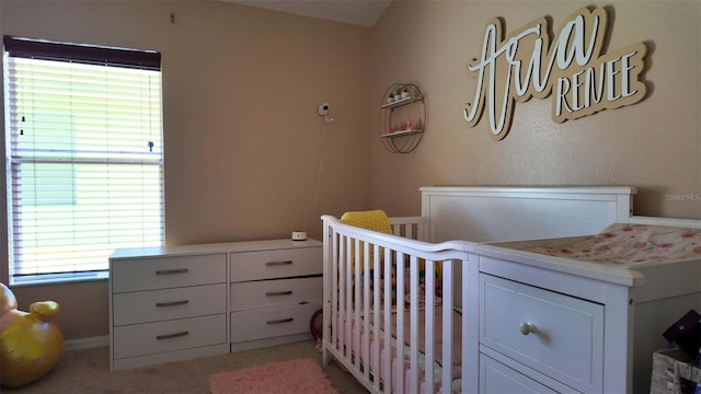 13653 Artesa Bell Dr, Riverview, FL 33579 - view of carpeted bedroom