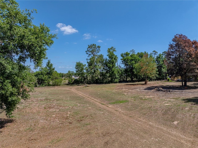 view of local wilderness featuring a rural view