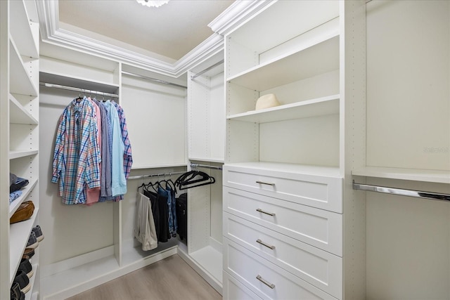 walk in closet with light wood-style floors
