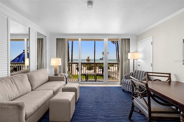 carpeted living room featuring ornamental molding, a textured ceiling, and a water view