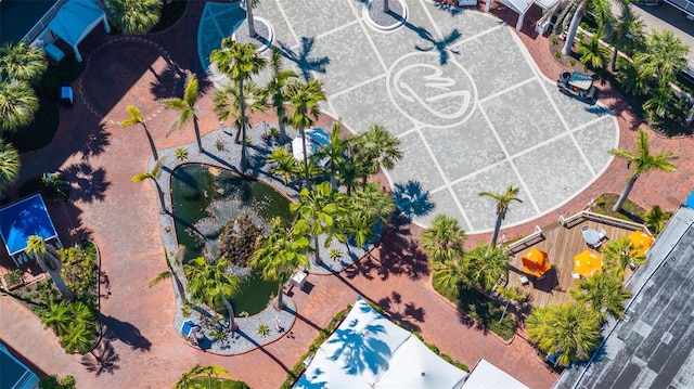 bird's eye view
