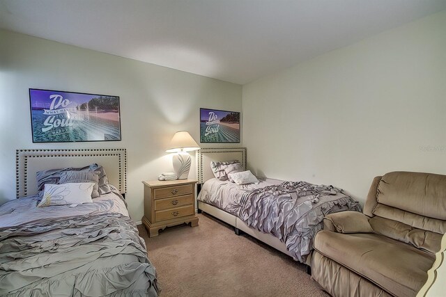 56 Pine Trak Unit 101E, Ocala, FL 34472 - bedroom with light colored carpet