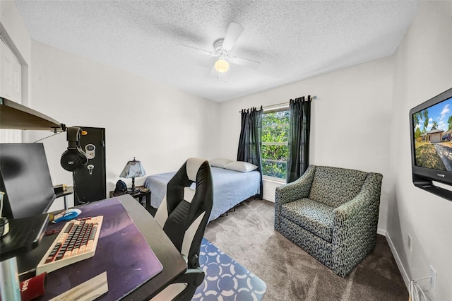 4085 37th Ave N, Saint Petersburg, FL 33713 - photo 22