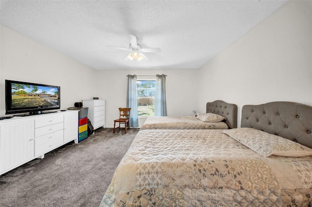 4085 37th Ave N, Saint Petersburg, FL 33713 - photo 24