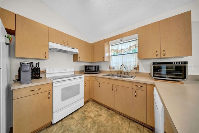 4085 37th Ave N, Saint Petersburg, FL 33713 - photo 13