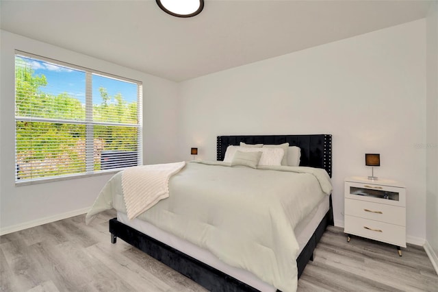 6233 Olivedale Dr, Riverview, FL 33578 - bedroom featuring light wood-style flooring, baseboards, and multiple windows
