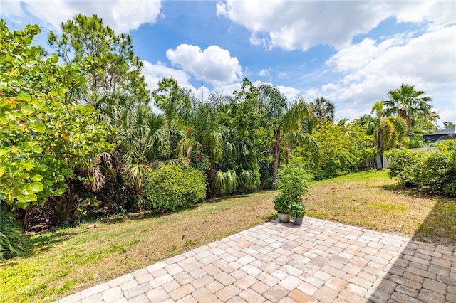5048 Inshore Landing Dr, Apollo Beach, FL 33572 - view of patio / terrace