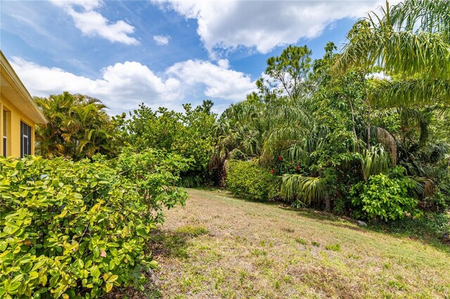 5048 Inshore Landing Dr, Apollo Beach, FL 33572 - view of green lawn