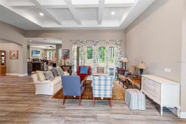 7340 W Dr, Wesley Chapel, FL 33544 - living room with coffered ceiling, a healthy amount of sunlight, and wood finished floors