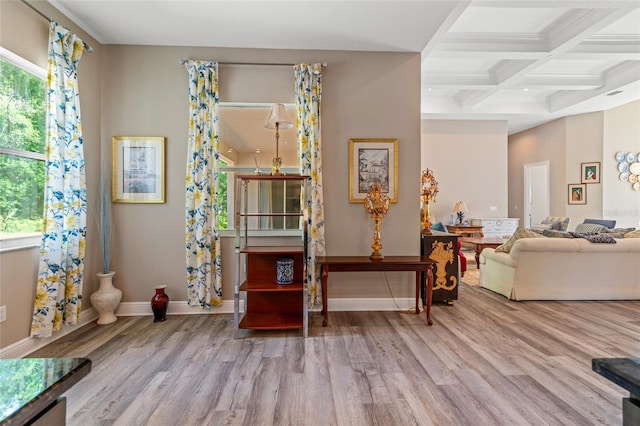 7340 W Dr, Wesley Chapel, FL 33544 - interior space featuring baseboards, beam ceiling, coffered ceiling, and wood finished floors