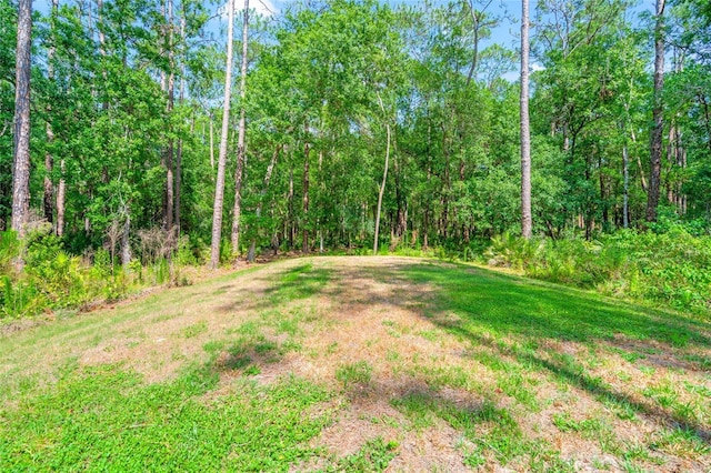 7340 W Dr, Wesley Chapel, FL 33544 - view of yard with a forest view