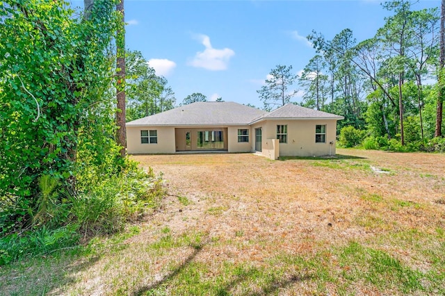 7340 W Dr, Wesley Chapel, FL 33544 - back of house featuring a yard and stucco siding